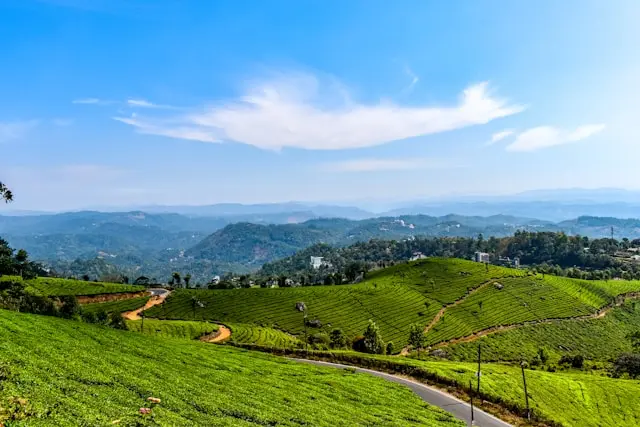 Kerala Backwaters & Hills 2